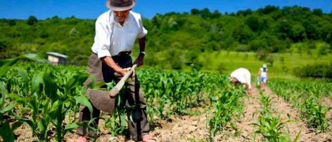 Más de $ 42 mil millones para el Plan de Comercialización de productos de Economía Campesina, Familiar y Comunitaria