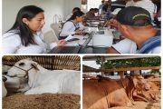 El ICA avanza en normalizar la prestación del servicio de expedición de guías sanitarias de movilización animal