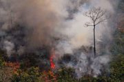 Concentración de CO2 aumentará en 2020 por los incendios de Australia