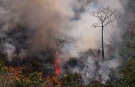 Concentración de CO2 aumentará en 2020 por los incendios de Australia