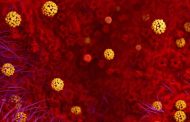Sube a 81 la cifra de muertos en China, que alarga las vacaciones por el coronavirus