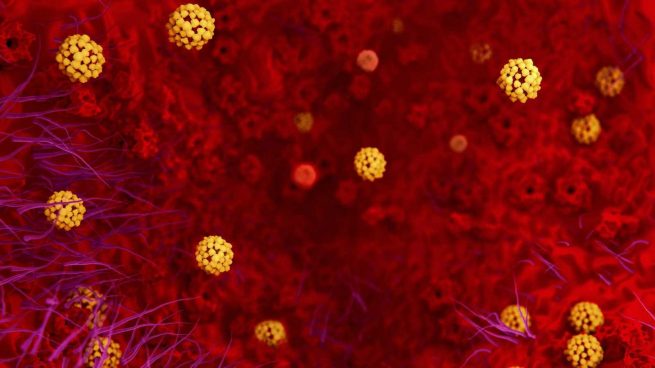 Sube a 81 la cifra de muertos en China, que alarga las vacaciones por el coronavirus