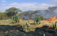 Extremas medidas de prevención ante riesgo de incendios forestales y accidentes por fuertes vientos en La Guajira