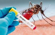 En Colombia se intensifican acciones de prevención frente a casos de dengue en el país