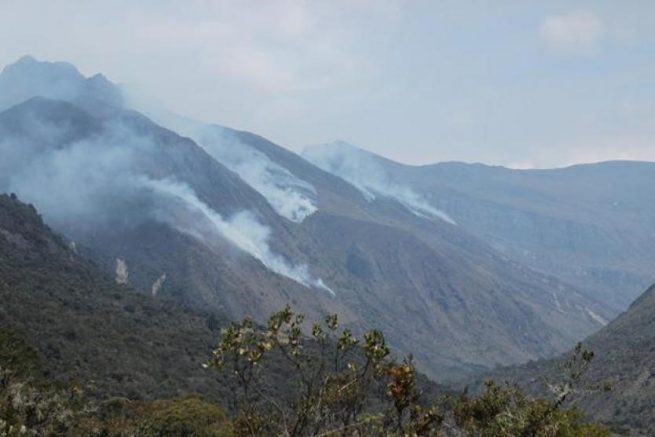 Procuraduría insiste en implementación de acciones para proteger la vida de los defensores de recursos naturales