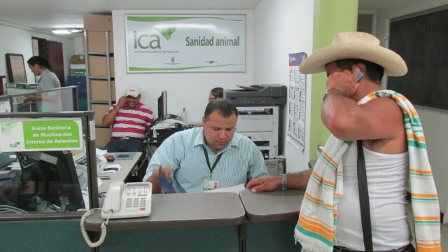 El control al contrabando y a la normalización de la expedición de guías sanitarias de movilización de animales en el país