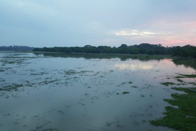 MinAmbiente apoya a población de la cuenca del río Magdalena a través de proyecto de adaptación al cambio climático