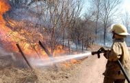 Director de Corpocesar llama la atención para evitar incendios forestales