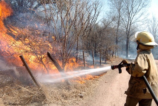 Director de Corpocesar llama la atención para evitar incendios forestales