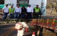 En el Cesar, continua el control a la movilización de material vegetal