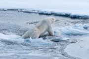 Los estados de la UE piden un plan climático para el 2030 antes de la cumbre de la ONU