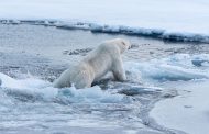 Los estados de la UE piden un plan climático para el 2030 antes de la cumbre de la ONU