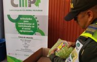 20 mil unidades de medicamentos de contrabando fueron incautados en vías del Cesar