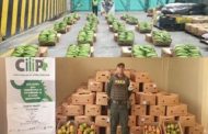 En zona de frontera, incautan cerca de 80 millones de pesos en productos agropecuarios