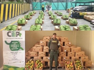 En zona de frontera, incautan cerca de 80 millones de pesos en productos agropecuarios