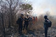La sofocante labor de extinción de incendio forestal en zona rural de Valledupar