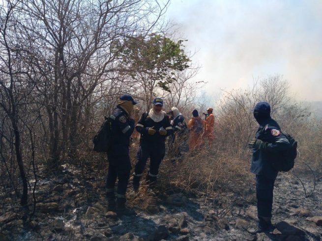 La sofocante labor de extinción de incendio forestal en zona rural de Valledupar