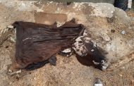 ¡Qué horror! Encuentran cabeza de un ternero en las Redes de Alcantarillado en la Planta de Tratamiento de Aguas