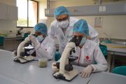 Proyecto de la UPC fue escogido para ser financiado por MinCiencias