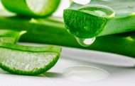 ¿Qué es la sábila o aloe vera?