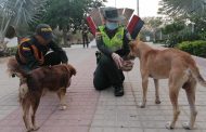 El área de Educación Ambiental de la Policía rindió cuentas de su gestión durante el 2020