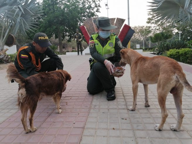El área de Educación Ambiental de la Policía rindió cuentas de su gestión durante el 2020