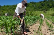 Procuraduría mediará por diálogo con campesinos para la protección de la tierra y el territorio