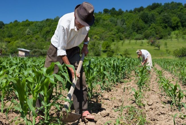 Procuraduría mediará por diálogo con campesinos para la protección de la tierra y el territorio