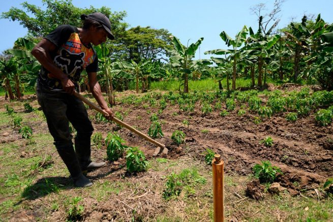 Abierta el “Campo Emprende”, para beneficiar a más de 9 mil familias vulnerables
