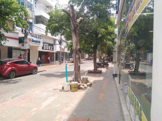 La Cámara de Comercio de Valledupar realizó distintos proyectos de los protocolos de bioseguridad