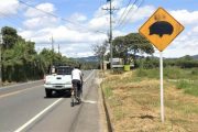 Lanzan medidas de protección para animales silvestres en vías del país