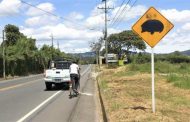 Lanzan medidas de protección para animales silvestres en vías del país