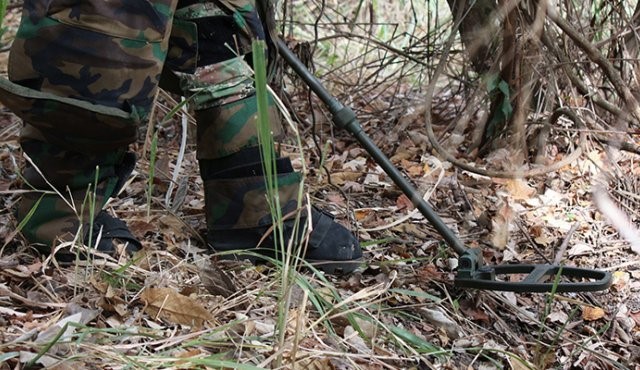 Procurador instó al cumplimiento de política de acción integral contra minas antipersonal