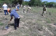 En jornada de reforestación, la UPC plantó 300 árboles en el corregimiento de Guacoche