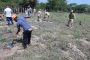 En jornada de reforestación, la UPC plantó 300 árboles en el corregimiento de Guacoche