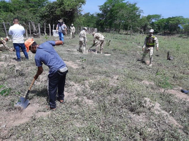 En jornada de reforestación, la UPC plantó 300 árboles en el corregimiento de Guacoche