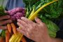 Cinco recomendaciones nutricionales para cuidar a los adultos mayores