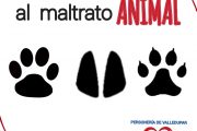 Personería Municipal adelanta campaña en contra del maltrato animal en Valledupar