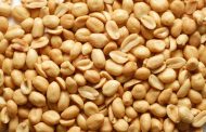 El cacahuate, ¿regula el nivel de azúcar en sangre?