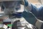 El Colegio de Bacteriólogos del Cesar destaca los resultados de pruebas de Covid-19 en varios laboratorios de Valledupar