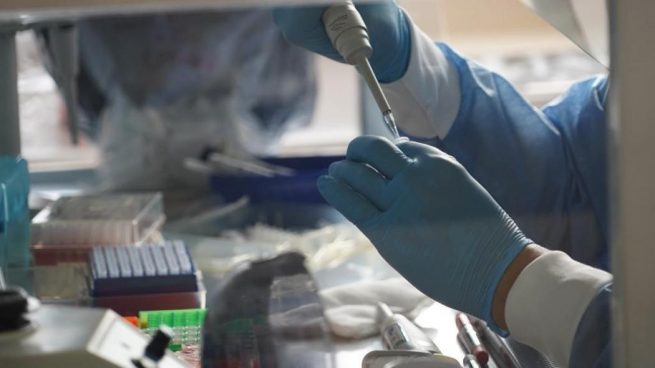 El Colegio de Bacteriólogos del Cesar destaca los resultados de pruebas de Covid-19 en varios laboratorios de Valledupar