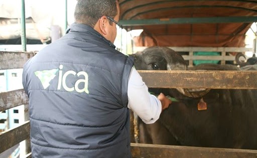 En consulta pública proyecto de resolución para la manipulación y verificación del virus de la fiebre aftosa