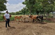 Aprobado Plan Departamental de Extensión Agropecuaria - PDEA Cesar