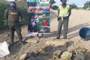 Liberadas 18 tortugas que fueron incautadas por la Policía en zona rural de Aguachica