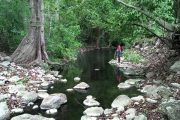 Desviación del cauce del Arroyo Bruno, en La Guajira, afectaría derechos a la salud, al agua y la seguridad alimentaria