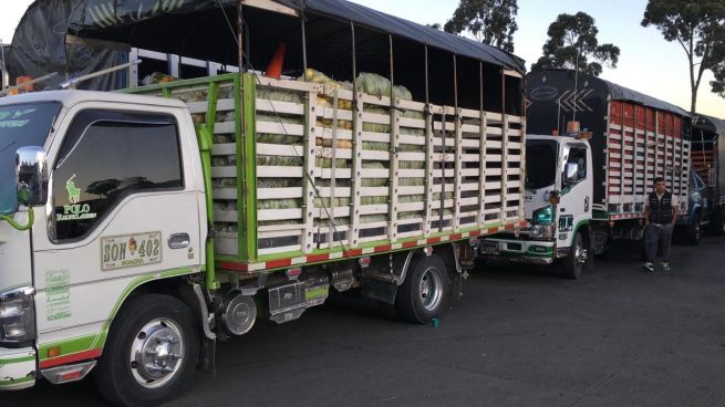 Ampliado plazo de inscripciones para el incentivo al transporte de alimentos perecederos