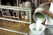 Sector lácteo recibirá $ 4.000 millones para incentivo a la exportación y compra de excedentes de producción