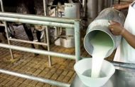 Sector lácteo recibirá $ 4.000 millones para incentivo a la exportación y compra de excedentes de producción