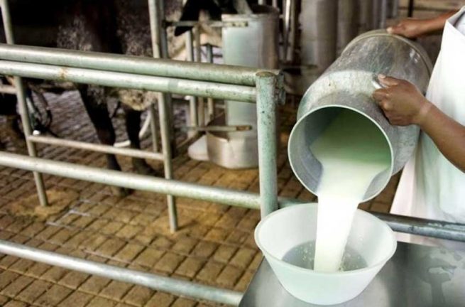 Sector lácteo recibirá $ 4.000 millones para incentivo a la exportación y compra de excedentes de producción