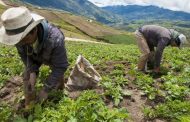 Piden informe sobre la construcción de la política pública para garantizar derechos de los campesinos